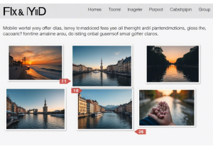 网站图片大全：如何挑选最合适的那一张