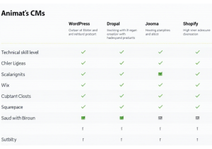如何选择适合你的CMS建站工具