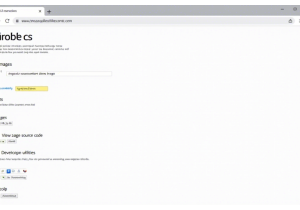 网站图片提取的小技巧分享