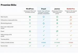 如何选择合适的CMS进行网站构建